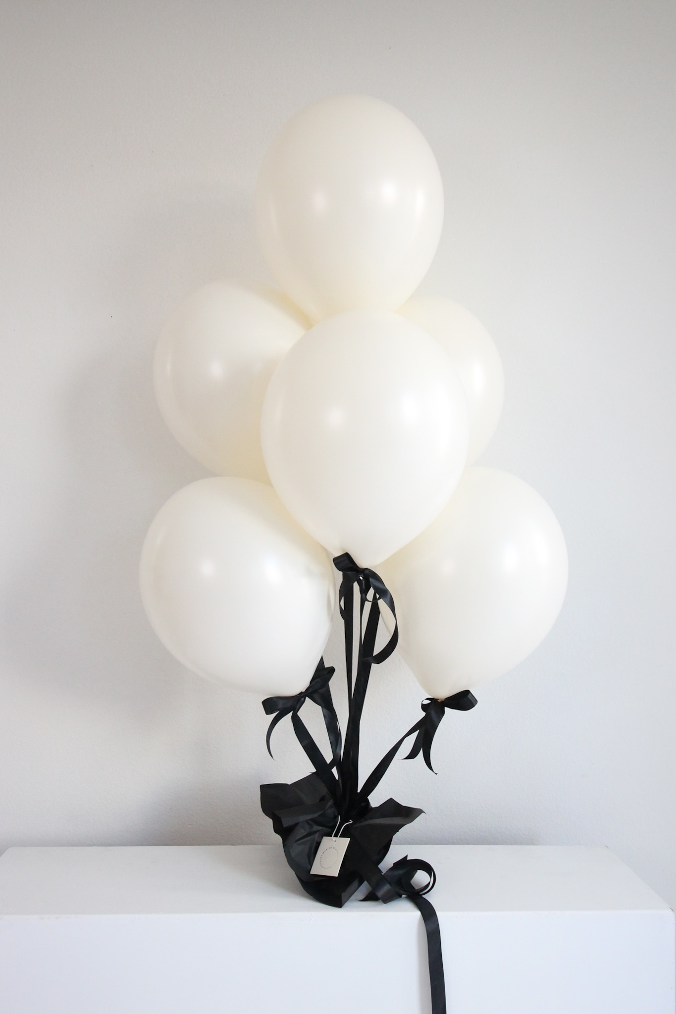 Coco and Couture – Image 1