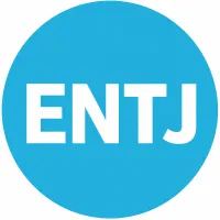 ENTJ - THE COMMANDER – Image 1