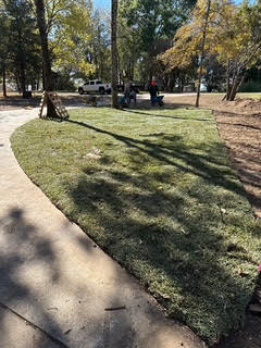 Kentucky Blue Grass (640 sq ft) – Image 1