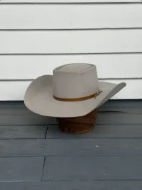 Foundations Hat #2 - Silverbelly – Image 1
