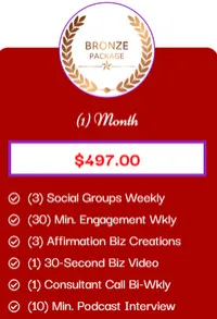 Social Media Visibility Bronze - $497 – Image 1