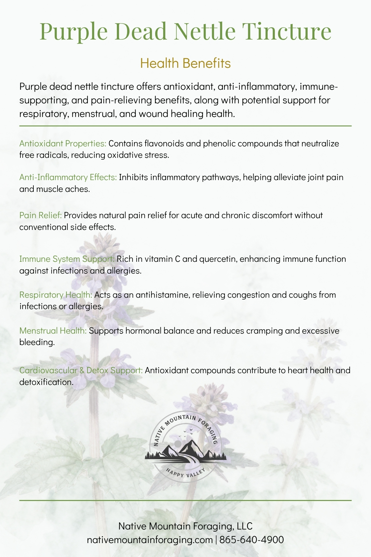 Purple Deadnettle Tincture – Image 3