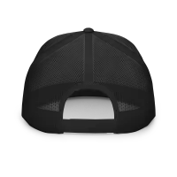 Dryer Cleaner Co Hat – Image 3