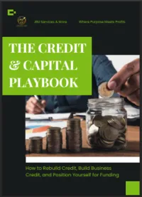 THE CREDIT & CAPITAL PLAYBOOK – Image 1