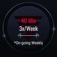 Weekly PT Sessions @40 mins – Image 2