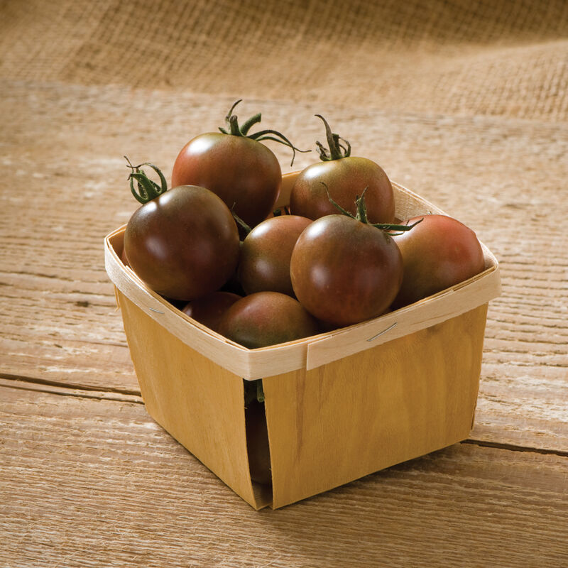 Tomato, Black Cherry  – Image 1