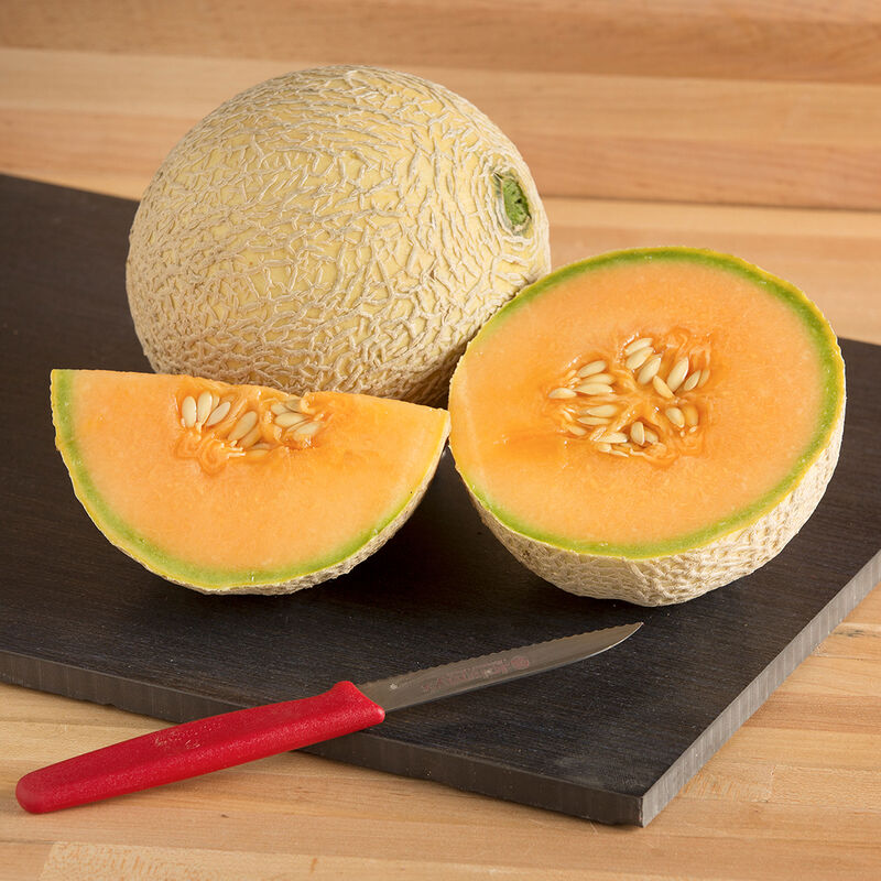 Cantaloupe – Image 1