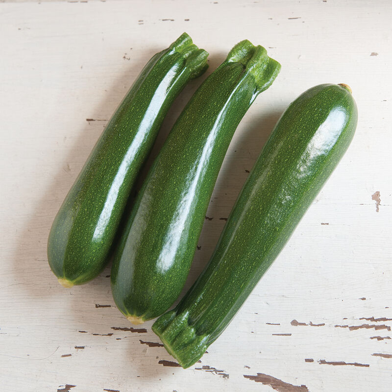 Zucchini – Dunja – Image 1