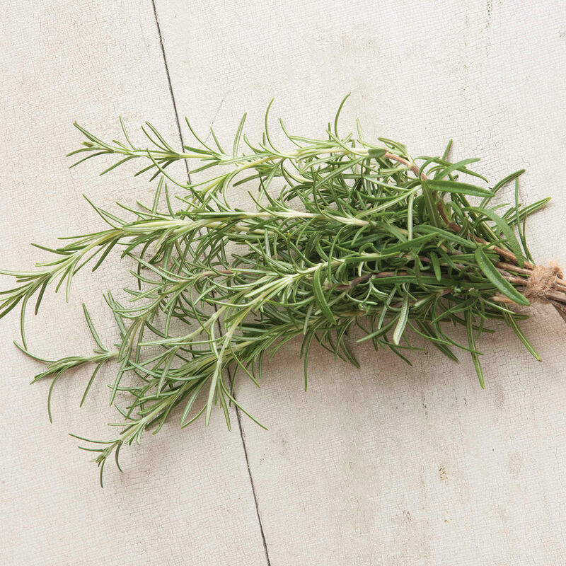Rosemary – Image 1