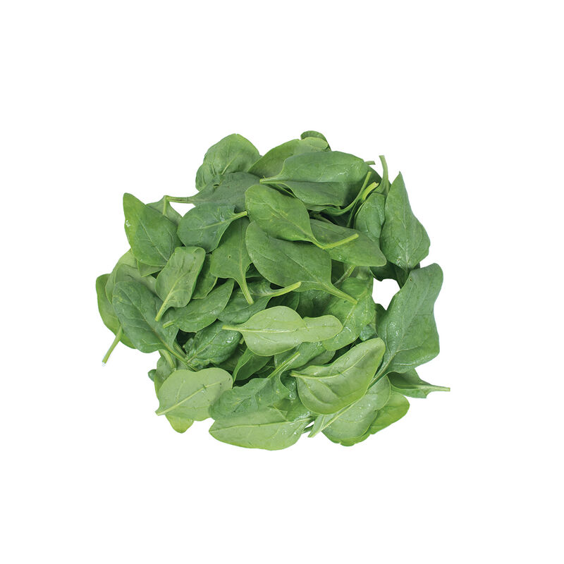 Spinach – Image 1