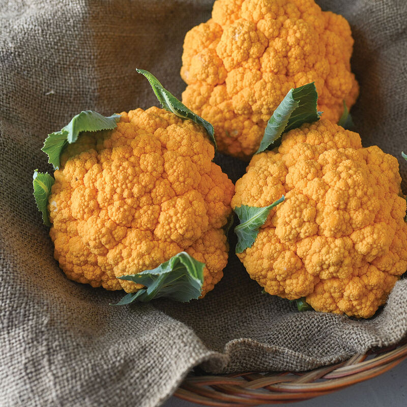 Clementine Orange Cauliflower – Image 1