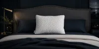 Chiropure Pillow – Image 1