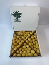 Barhi Date – Image 3