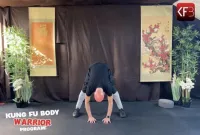 Kung Fu Body™ - Lidmaatschap – Image 3
