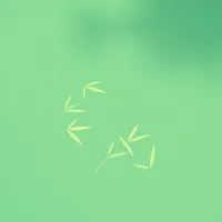 Breath Of Bamboo – Image 1