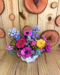 Vida de Colores – Image 1