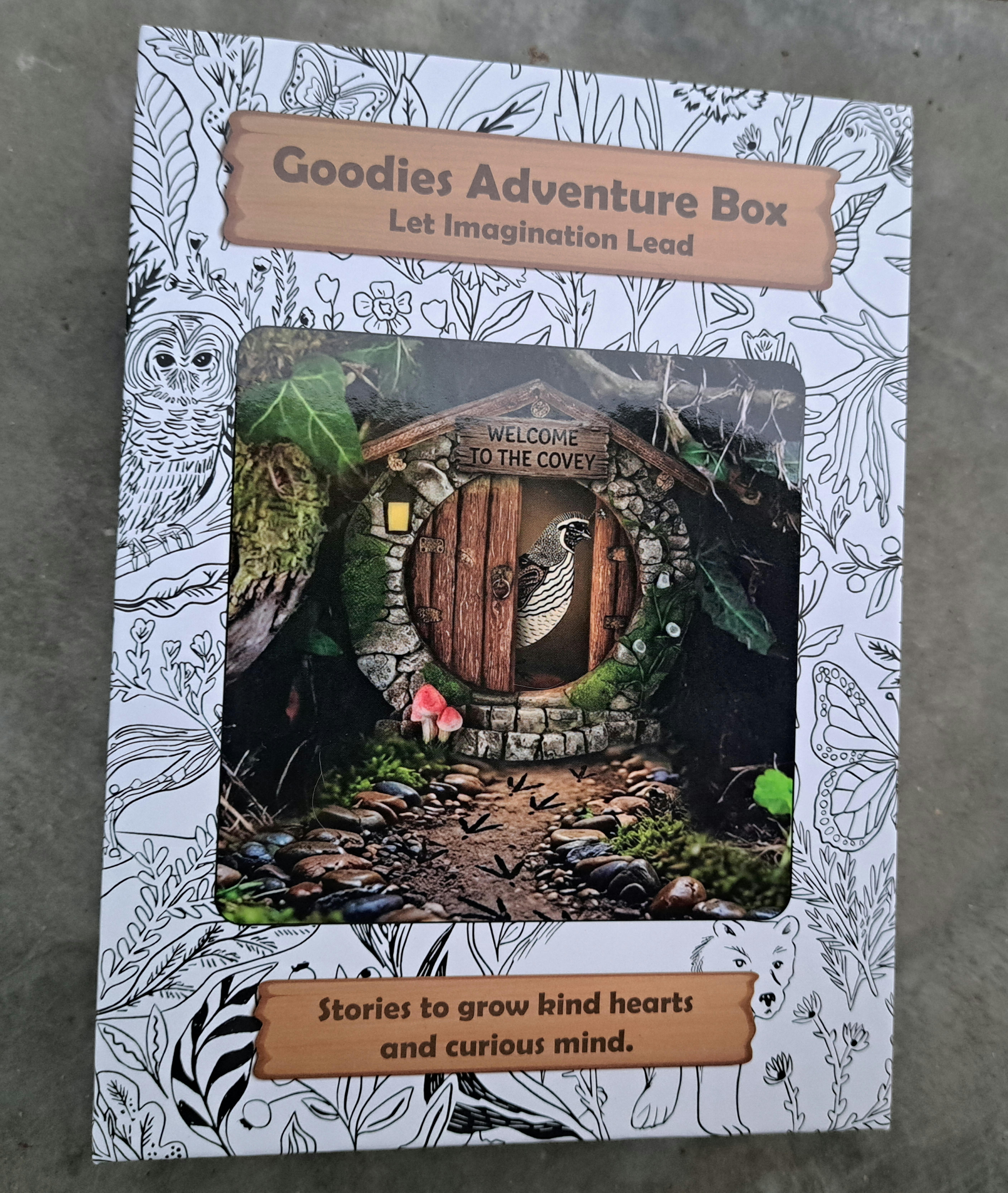 Goodie's Adventure Box  – Image 1
