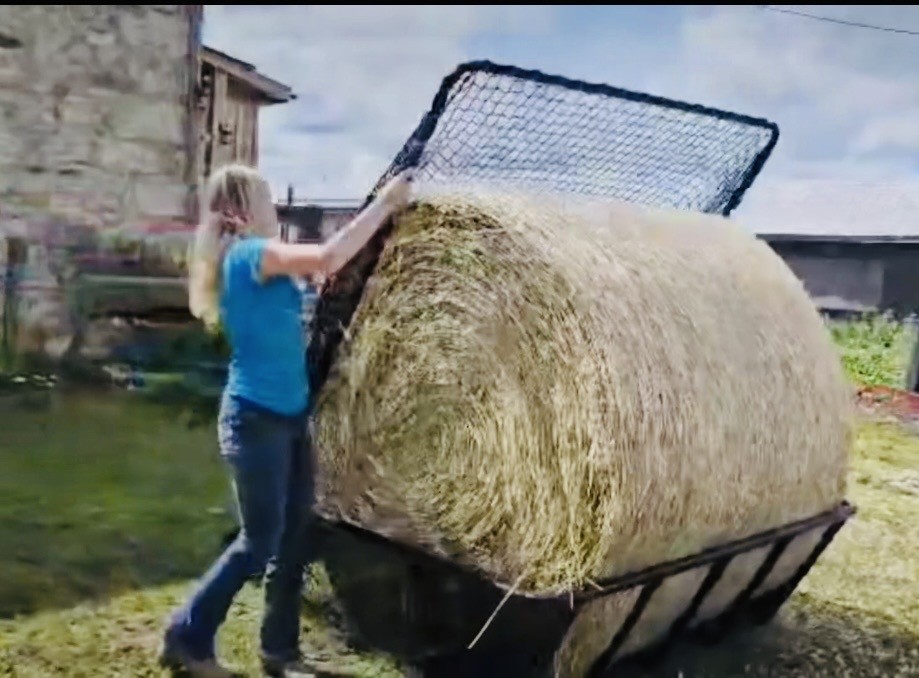 K-Bale Cradle Hay Feeders are available - please message for shipping quote – Image 3