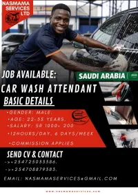 Automotive & Transport Support | Car Wash Attendant – Image 1