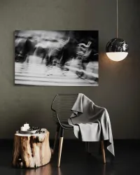 Zona Paetonal – Image 4