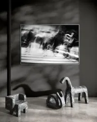 Zona Paetonal – Image 20