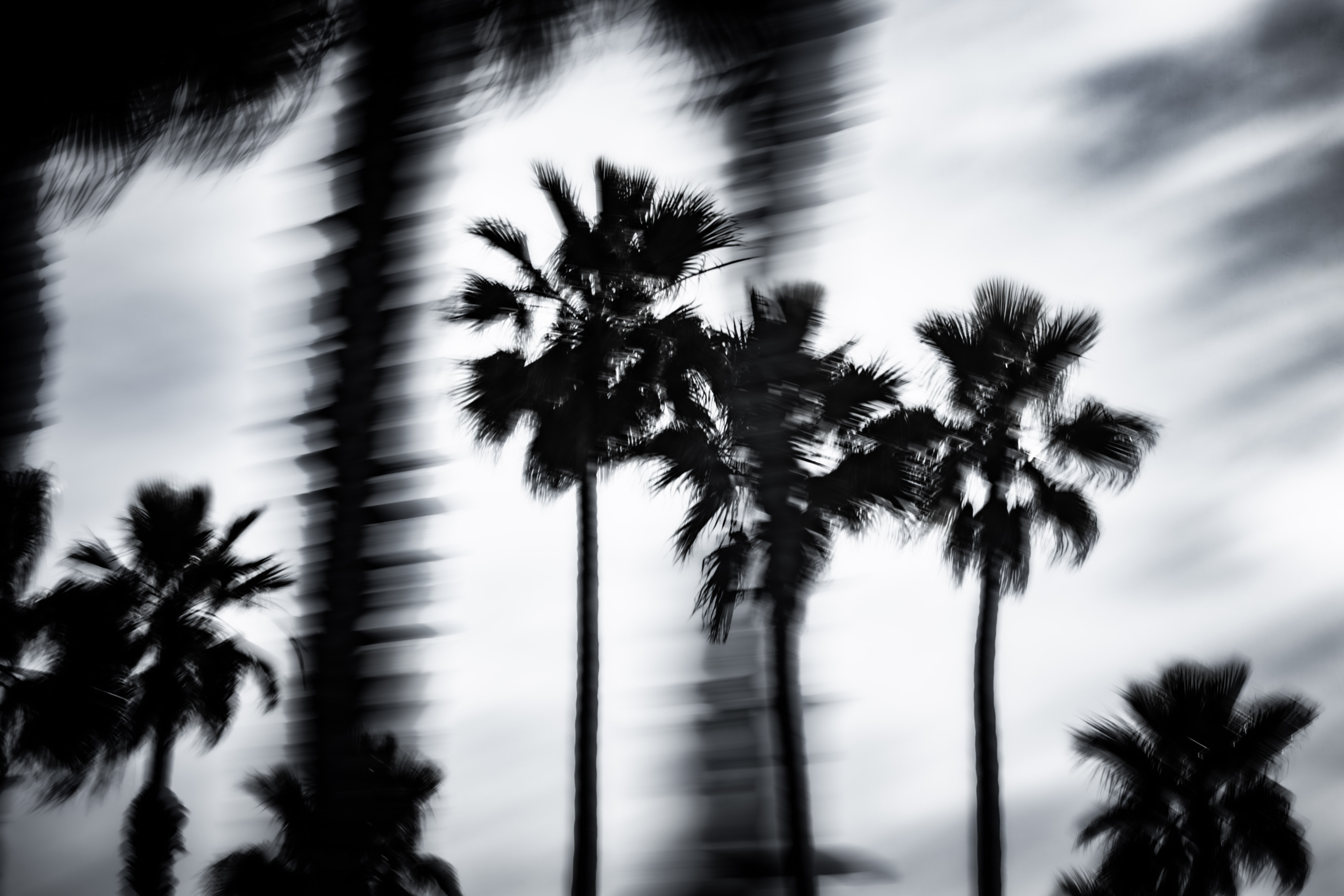 Storm of Outrage – Image 1