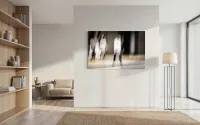 Elongated Presence – Image 2