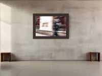 Bogota Shapeshifter – Image 17