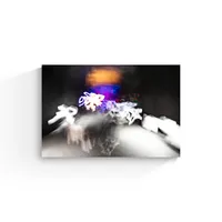 Apparitions Welcome – Image 22