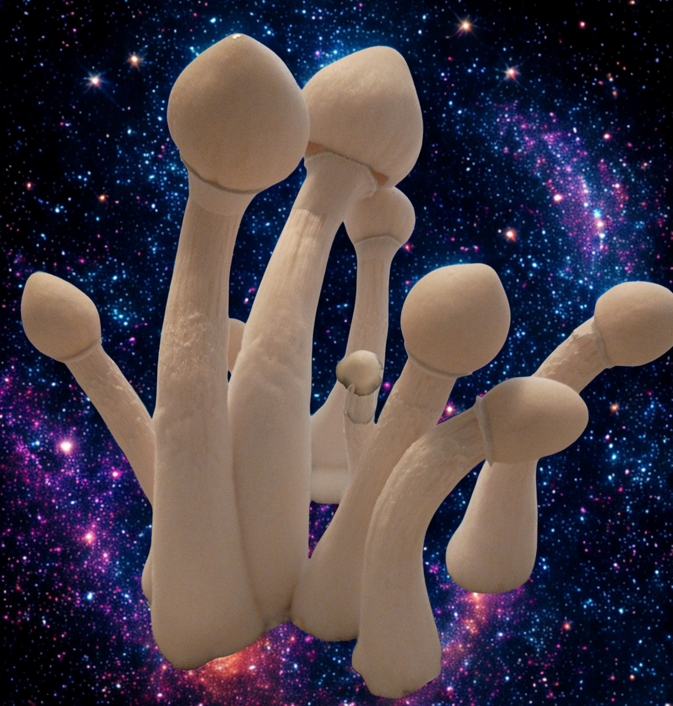 Skadi | 2 Spore Swab Pack – Image 1