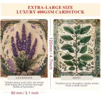 Herbal Wisdom Oracle – Image 4