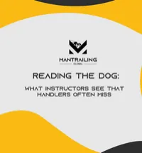 Reading the dog: What instructors see that handlers often miss – Image 1