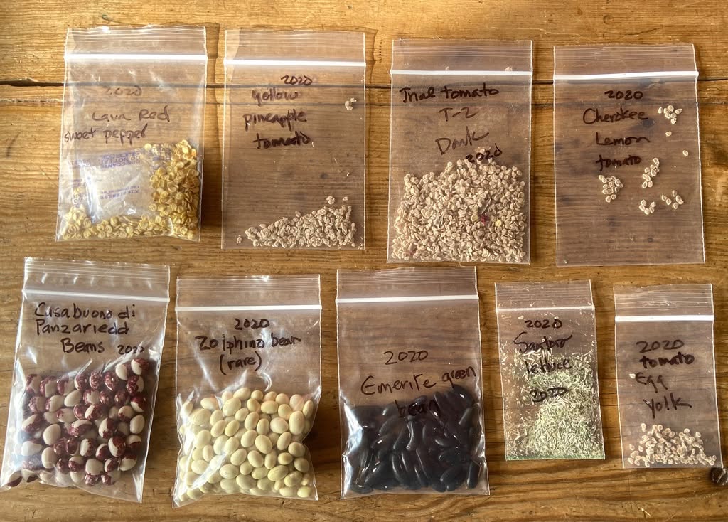 Second Tuesday Lunch & Learn: Seed Saving 101 — August 11, 2026 – Lunch & Learn Admission