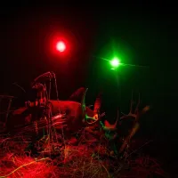 PEAX Backcountry Duo Headlamp - Green (6,166 ENTRIES) – Image 2