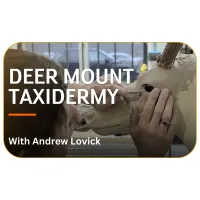 Deer Mount Taxidermy with Andrew Lovick  – Image 1