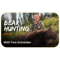 Bear Hunting with Tom Schneider  – Image 1
