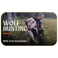 Wolf Hunting with Tom Schneider – Image 1