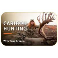 Caribou Hunting with Tana Grenda – Image 1