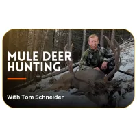 Mule Deer Hunting with Tom Schneider – Image 1