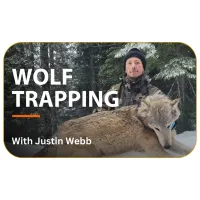 Wolf Trapping with Justin Webb – Image 1