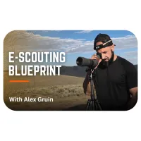E-Scouting Blueprint with Alex Gruin – Image 1