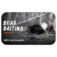 Bear Baiting with Joe Kondelis – Image 1