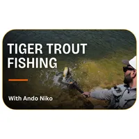 Tiger Trout Fishing with Ando Niko – Image 1