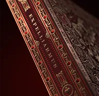 Theory11 Harry Potter Gryffindor Playing Cards – Image 2