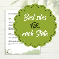 Easy Ways to Find Records in Every U.S. State to Build your Family Tree – Image 3