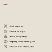 Everyday Electrolytes | Bush Tucker Blends – Image 3