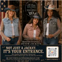 Denim Rhinestone Jacket with Sheer Sleeves – Image 1