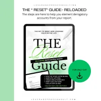 THE RESET GUIDE: CFPB Complaint System – Image 1