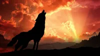 Shamanic Empowerment – Image 1