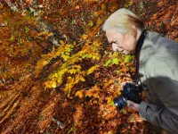 MAS Demenztraining   – Bild 4